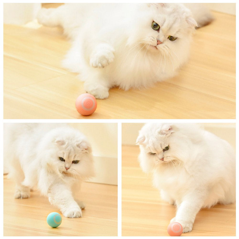 Interactive Cat Ball Toys, USB Rechargeable Bouncing Balls Motion Cat Toys Pet Supplies for Indoor Cats